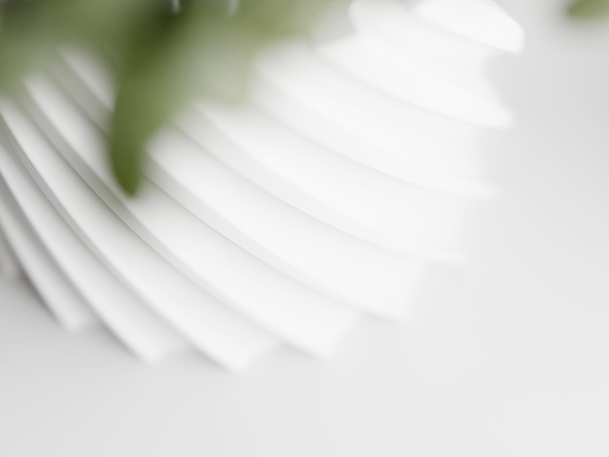 Plant Pot Screw 1 – Stilvolle Trockenblumen-Dekoration in verschiedenen Farben – Bild 2