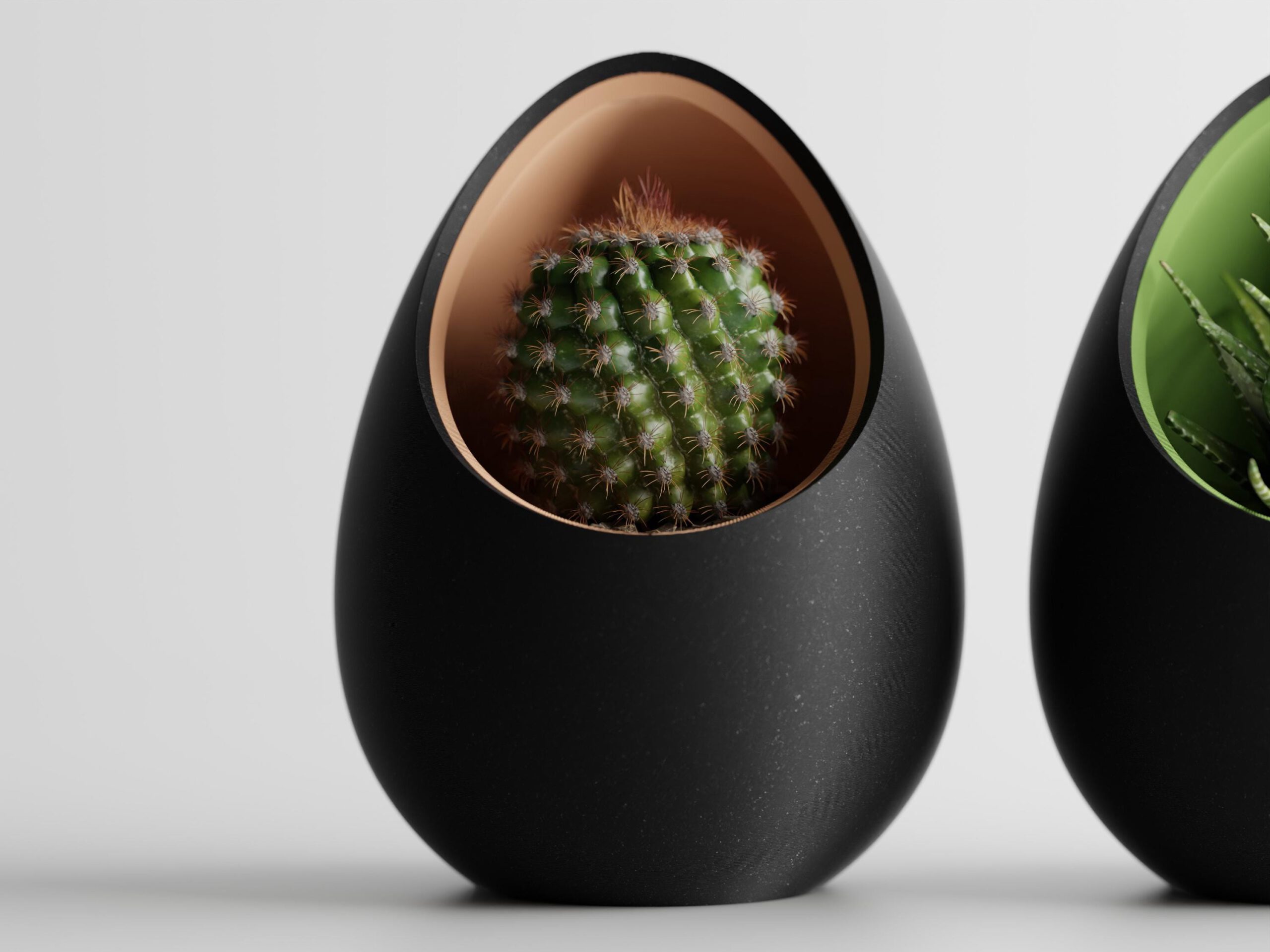NestPlanter – Der elegante Pflanzentopf mit zweifarbigem Design – Bild 4