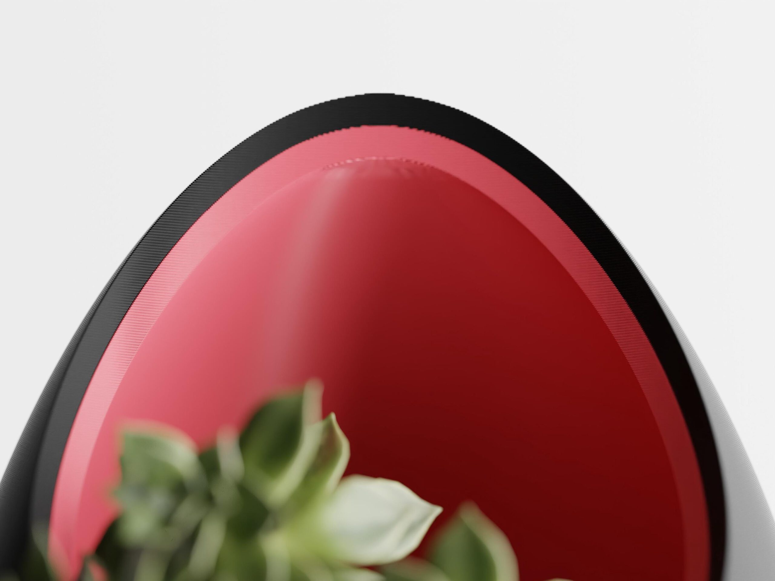 NestPlanter – Der elegante Pflanzentopf mit zweifarbigem Design – Bild 9